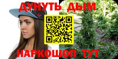 ALPHA PVP Гудермес