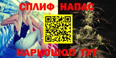 ALPHA PVP Гудермес
