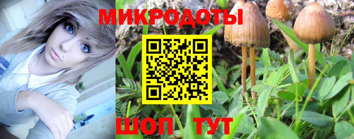 Галлюциногенные грибы Psilocybine cubensis  Псилоцибиновые грибы Psilocybe  Вход с VPN  Новокубанск 