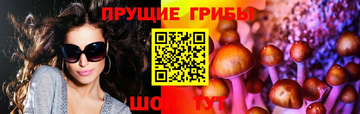 Галлюциногенные грибы мухоморы Новокубанск