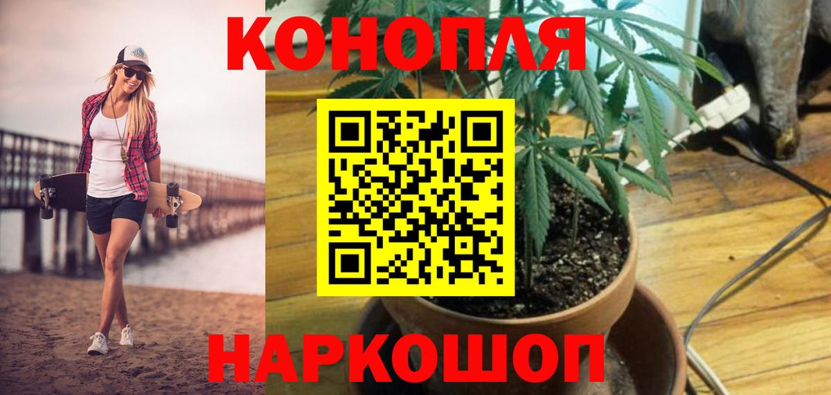 Конопля индика Новокубанск